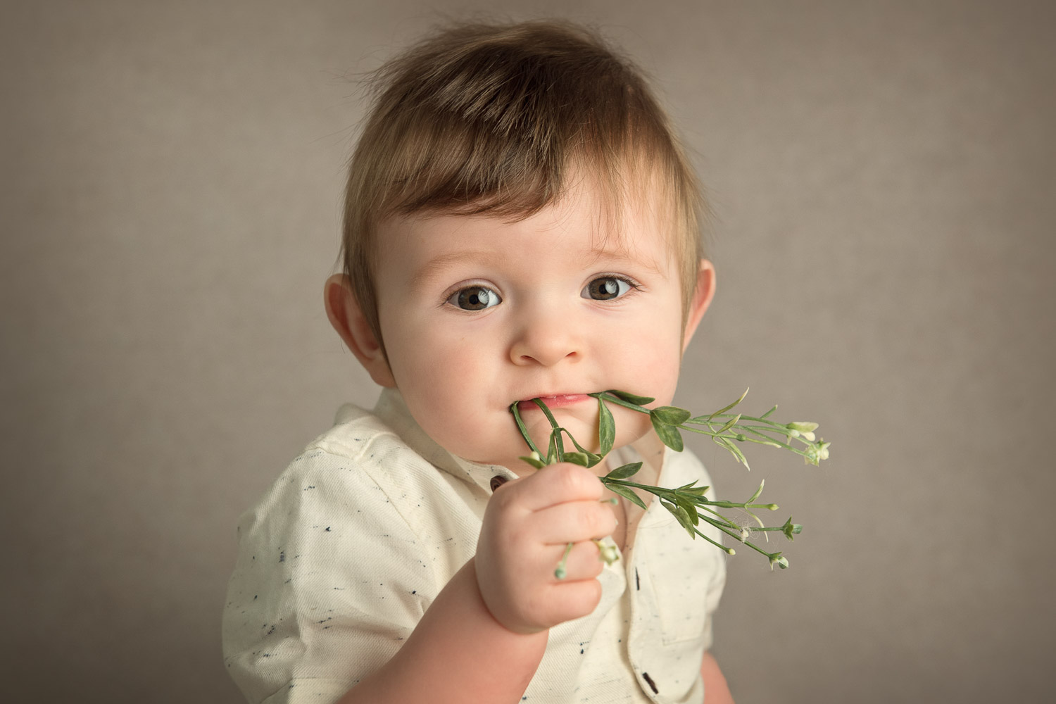 baby eating leaves by siobhan kelly photography
