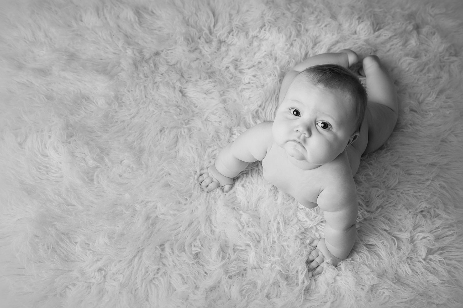 cute rolly baby crawling by siobhan kelly photography
