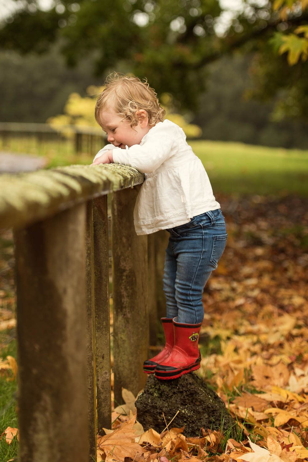 Auckland Family Photography 37 child climbing fence photography by siobhan kelly photography