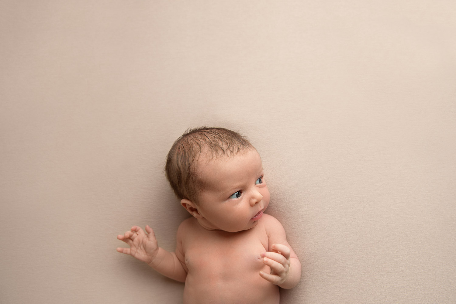 newborn baby in arms by siobhan kelly photography