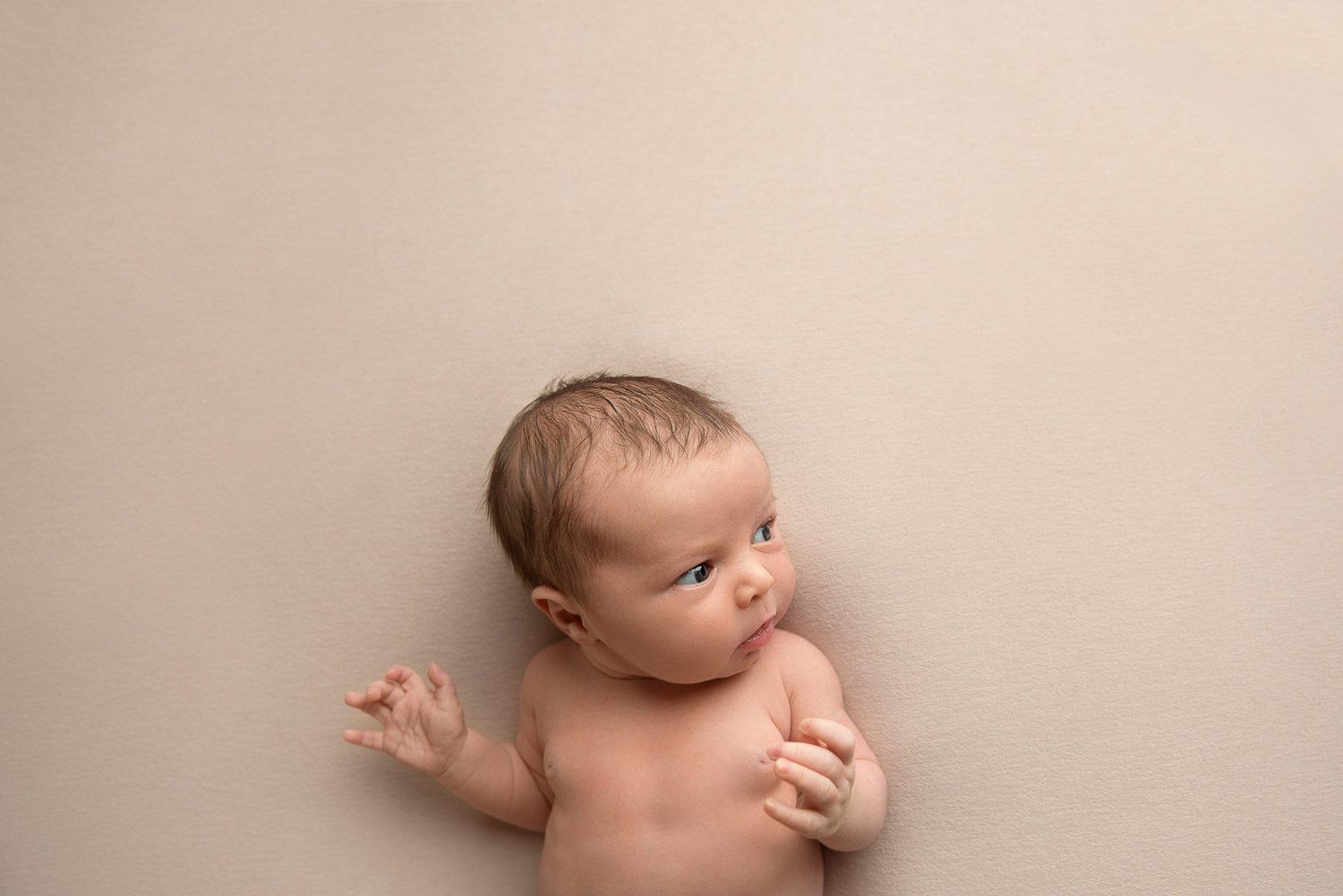 Auckland Newborn Photography 31 newborn baby in arms by siobhan kelly photography