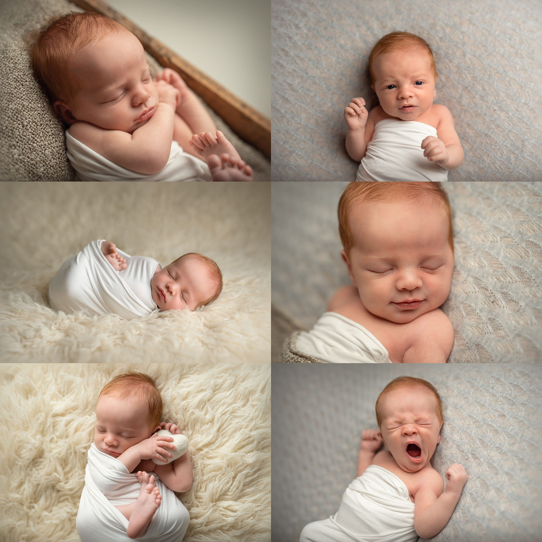 mini gallery by auckland newborn photographer siobhan kelly photography