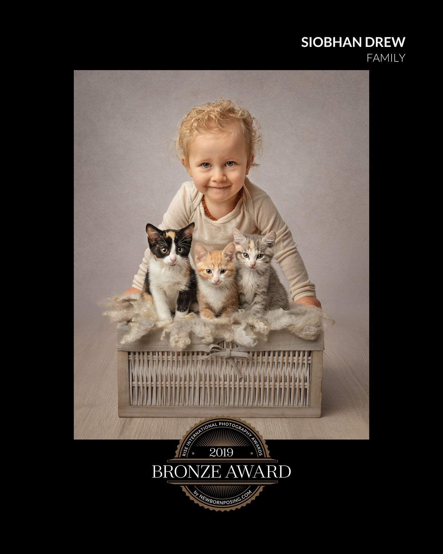 cats and toddler by auckland pet photographer siobhan kelly photography