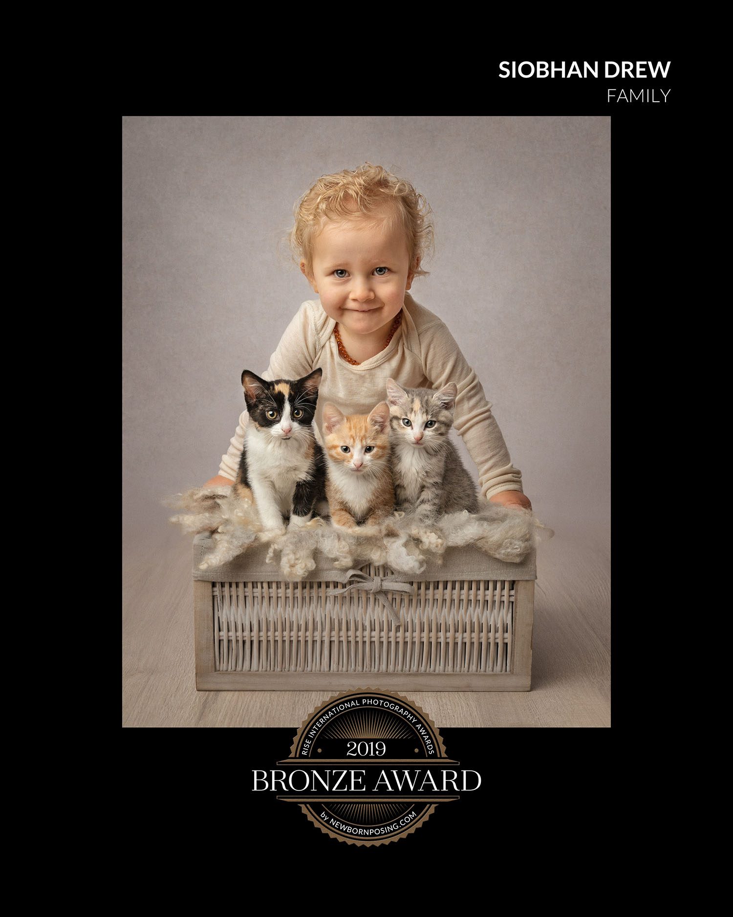 Siobhan Kelly 7 Keeper of the kittens certificate