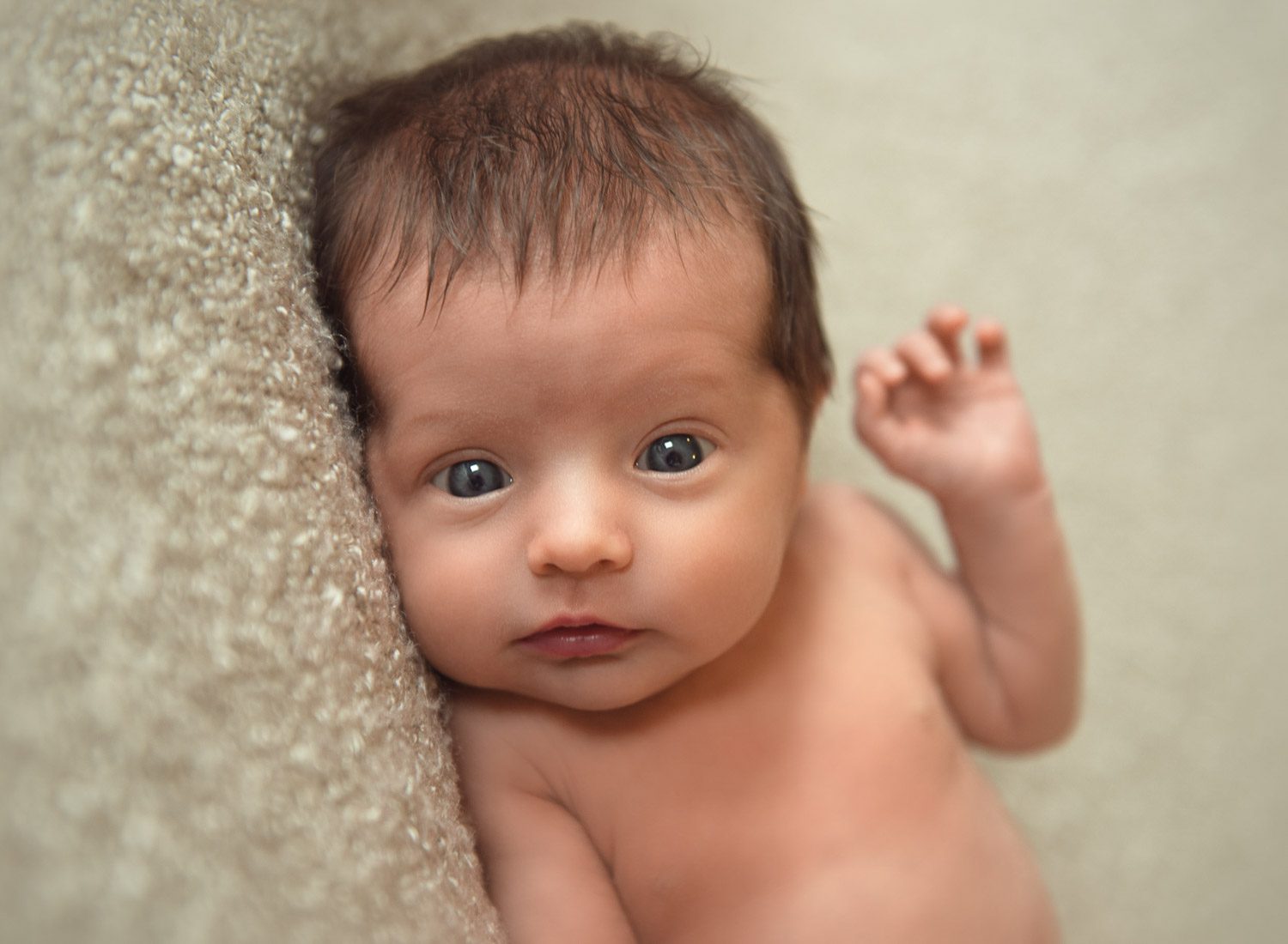 Auckland Newborn Photography 20 awake baby by auckland baby photographer siobhan kelly photography
