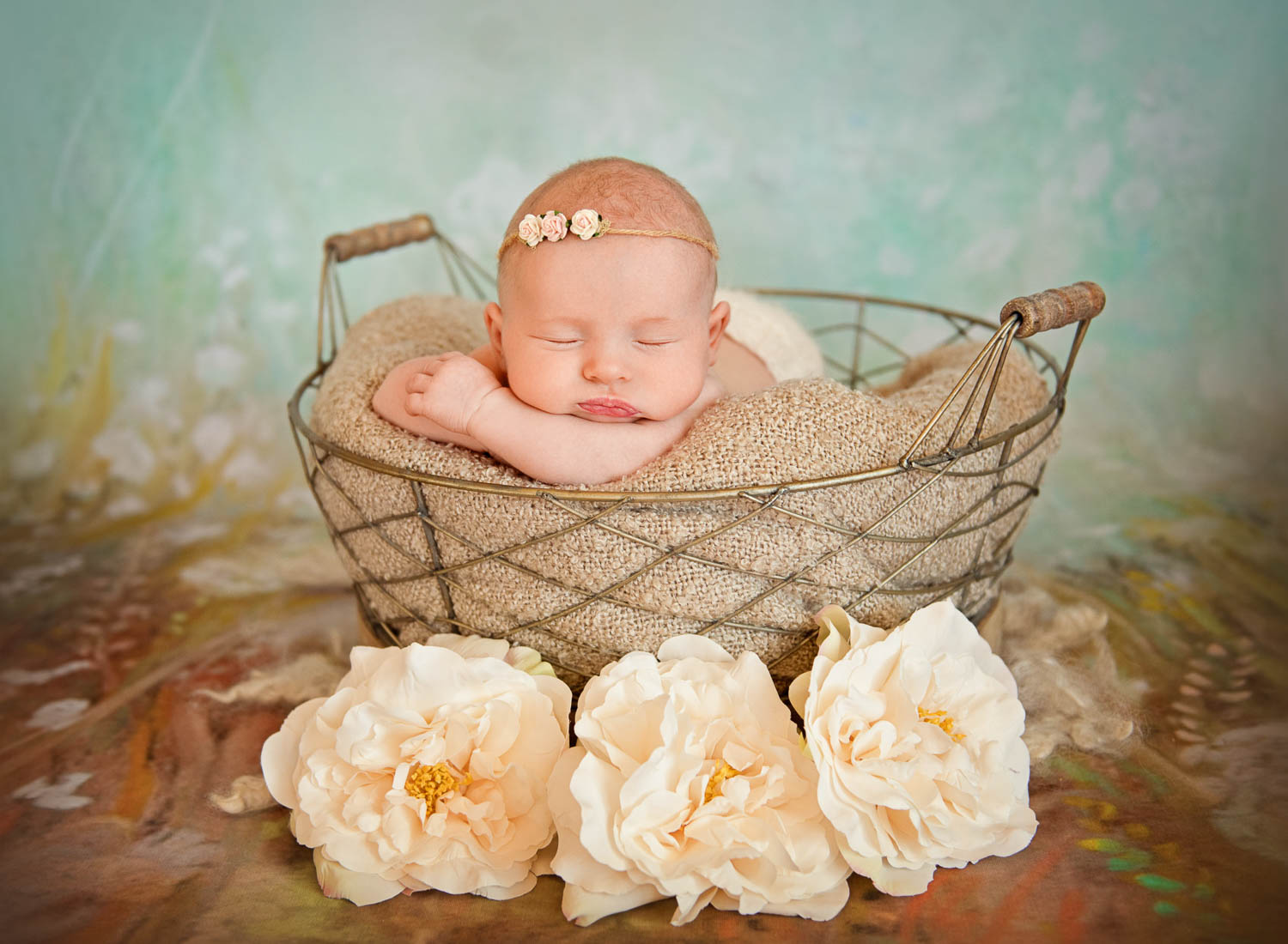 baby in basket by auckland newborn photographer siobhan kelly photography