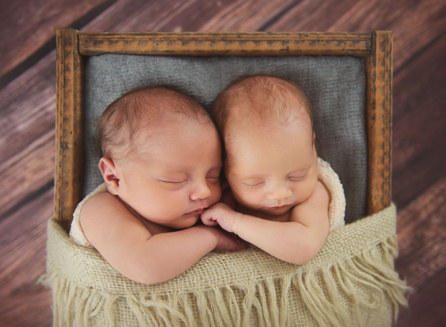 baby twins photography by siobhan kelly photography