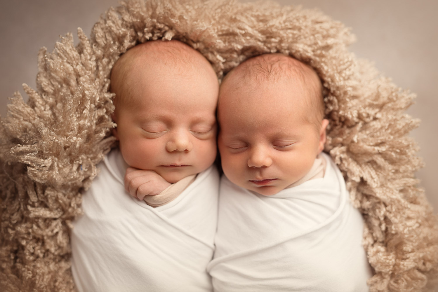 newborn twins sleeping by auckland newborn photographer siobhan kelly photography